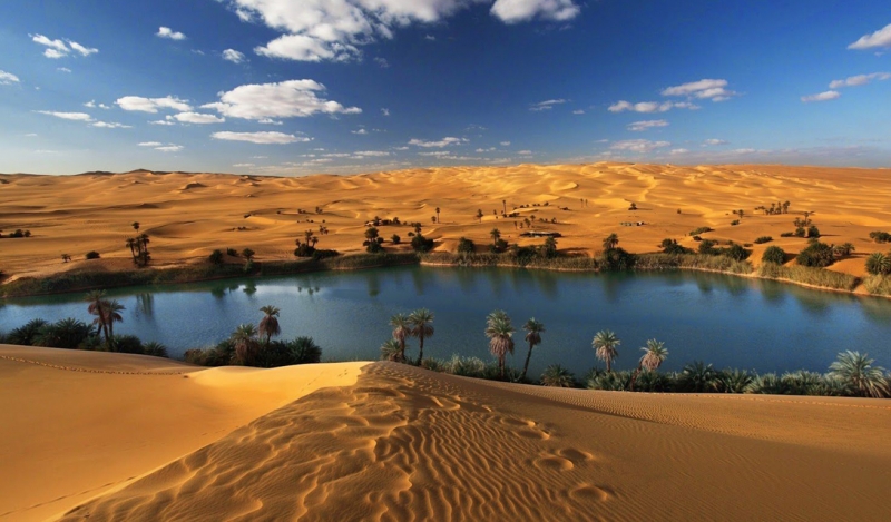Как выглядела Сахара 5000 лет назад 