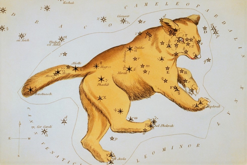 Созвездие Большая Медведица, сколько звезд, их названия, легенда, как выглядит, схема, фото и видео