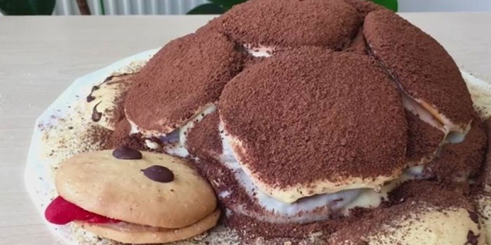 Торт Черепаха - как приготовить коржи и крем в домашних условиях пошагово по рецептам с фото