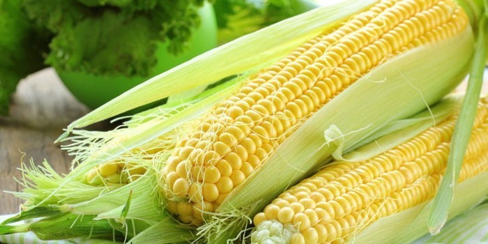 Кукуруза в микроволновке - рецепты приготовления и сколько времени варить молодую или старую