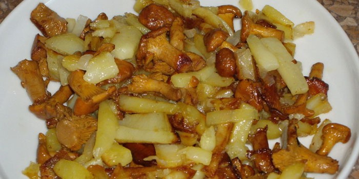 Жареная картошка с лисичками - как вкусно приготовить на сковороде по пошаговым рецептам с фото