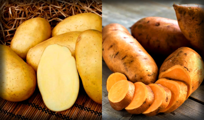 Чим відрізняється батат від картоплі?
