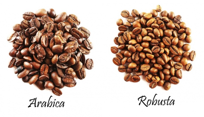 Як роблять каву без кофеїну?