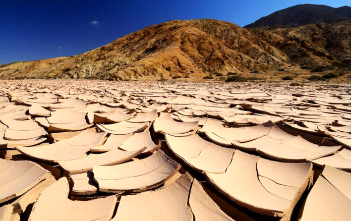 Яка пустеля найсухіша на Землі?