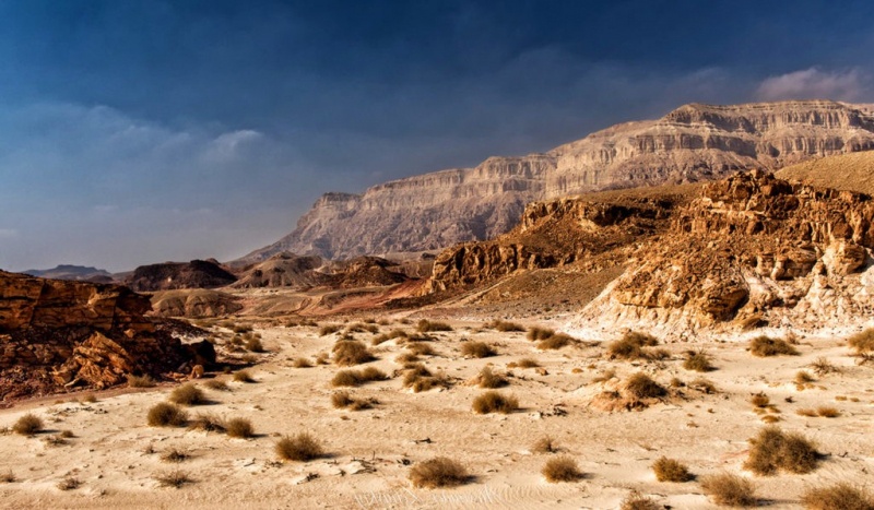 Яка пустеля найсухіша на Землі?